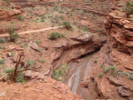Enlarge photo 230