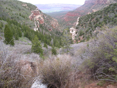 Enlarge photo 248