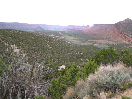 Enlarge photo 249