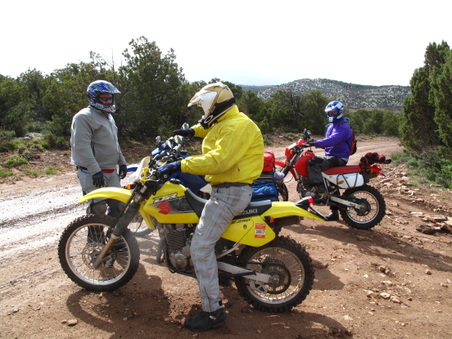 Enlarge photo 254