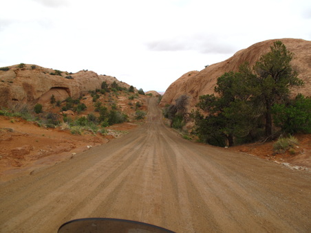 Enlarge photo 258