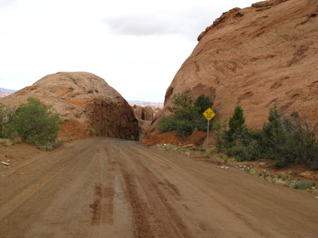 Enlarge photo 259