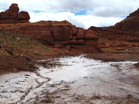 Enlarge photo 241