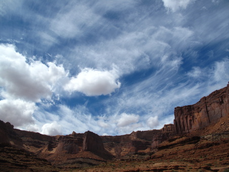 Enlarge photo 299