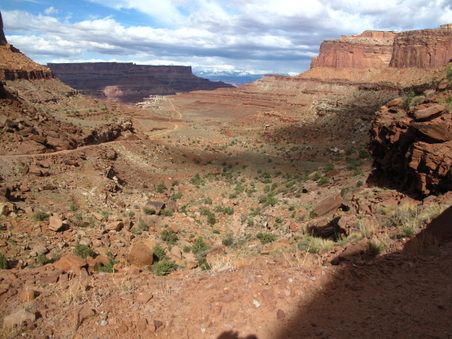 Enlarge photo 311