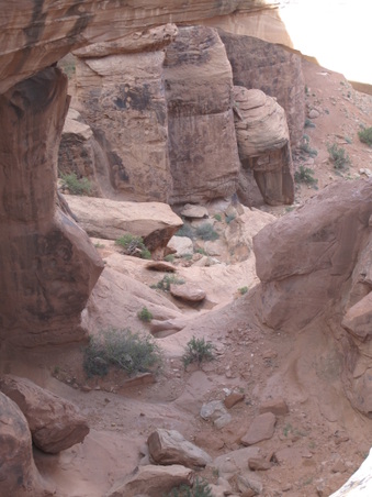 Enlarge photo 324