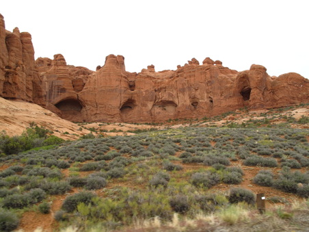 Enlarge photo 341