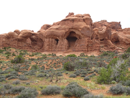 Enlarge photo 352