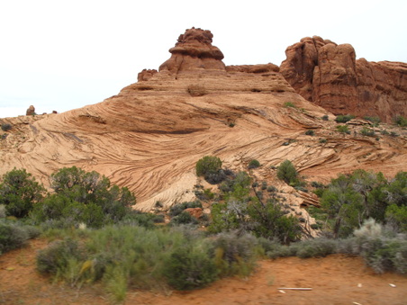 Enlarge photo 354
