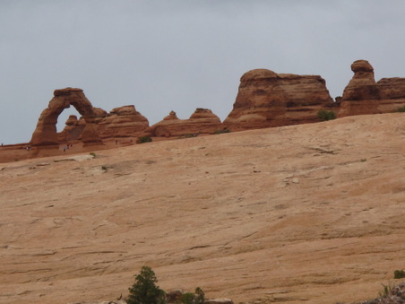 Enlarge photo 355