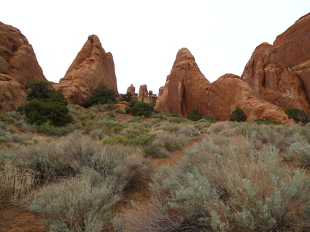 Enlarge photo 359