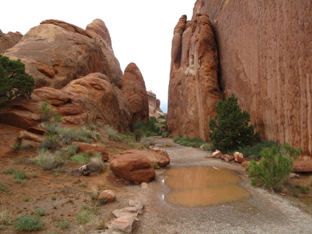 Enlarge photo 361