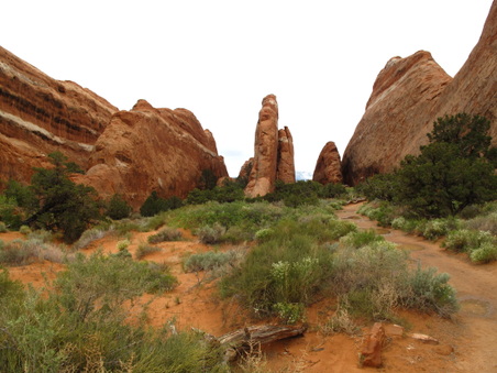 Enlarge photo 332