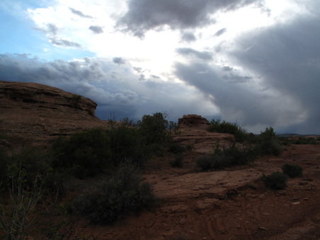 Enlarge photo 387
