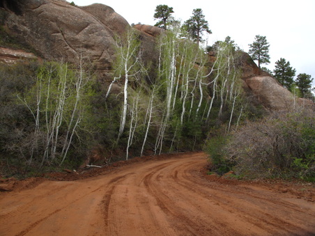 Enlarge photo 394