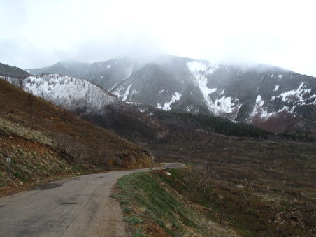 Enlarge photo 405