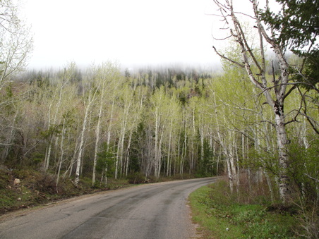 Enlarge photo 411