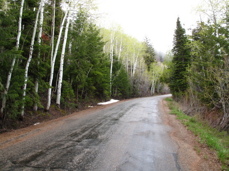 Enlarge photo 412