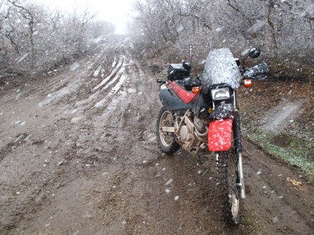 Enlarge photo 418