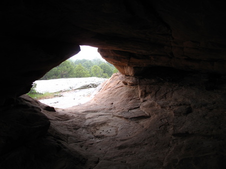 Enlarge photo 433
