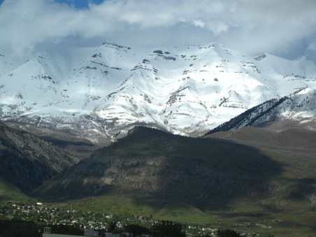 Enlarge photo 443