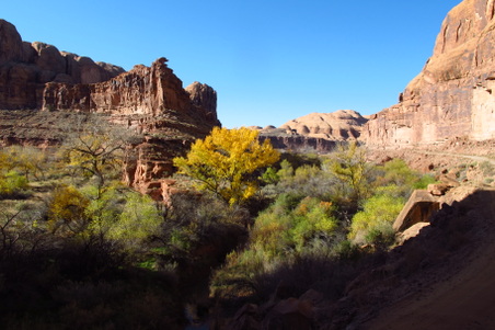 Enlarge photo 40