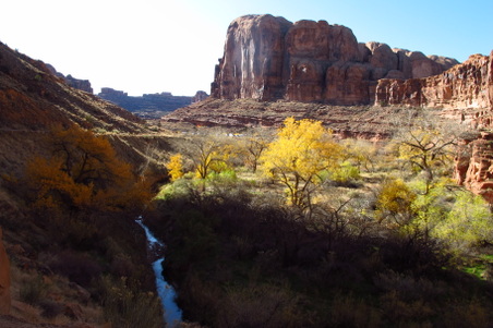 Enlarge photo 41