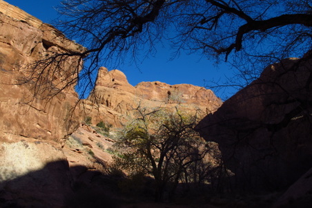 Enlarge photo 43
