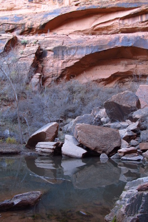 Enlarge photo 49