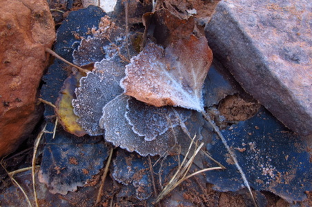 Enlarge photo 53