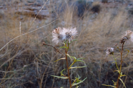 Enlarge photo 55