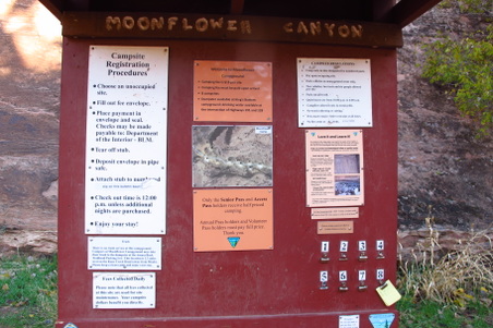 Enlarge photo 59