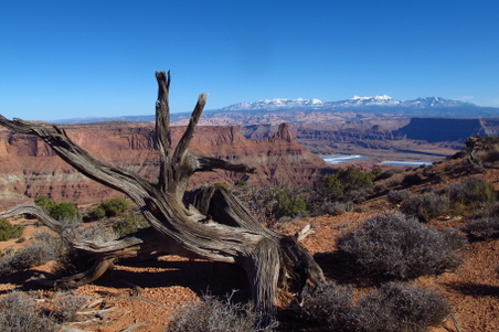 Enlarge photo 67