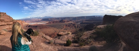 Enlarge photo 92