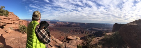 Enlarge photo 93