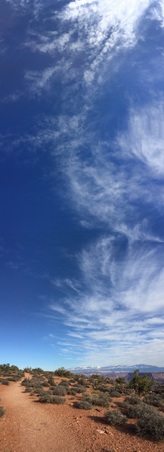 Enlarge photo 249