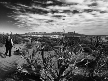 Enlarge photo 254