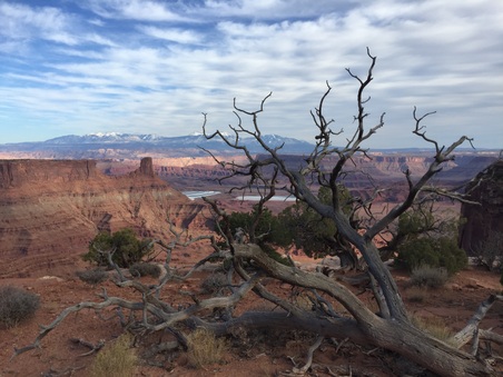 Enlarge photo 257