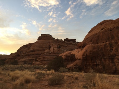 Enlarge photo 288
