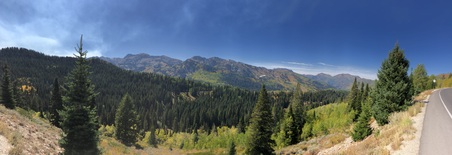 Enlarge photo 461