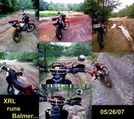 Enlarge photo 58