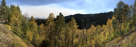 Enlarge photo 462