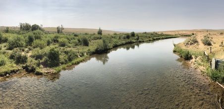 Enlarge photo 409