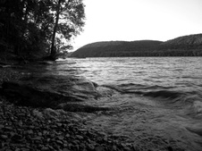 Enlarge photo 59