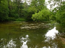 Enlarge photo 30