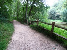 Enlarge photo 31