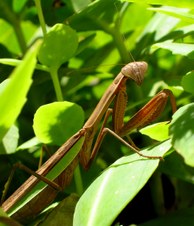 Enlarge photo 38