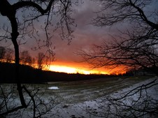 Enlarge photo 51
