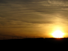 Enlarge photo 61