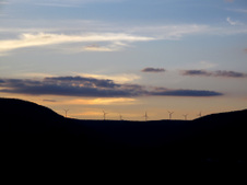 Enlarge photo 62
